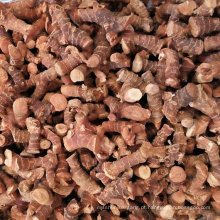 Fornecedor profissional de produtos agrícolas vietnam galangal